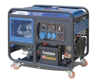 Дизельный генератор ТСС SDG 12000EHA с АВР 111131 фото