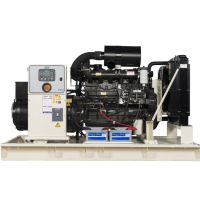 Дизельный генератор HERTZ HG 275 DC  синхронный фото