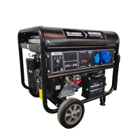 Бензиновый генератор Zammer S6500CXE для дома фото