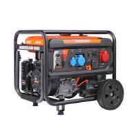 Бензиновый генератор PATRIOT GRA 8500 DAWS для газового котла фото