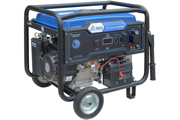 Бензиновый генератор ТСС SGG 8000EHNA в кожухе МК-1.1 4-х тактный фото