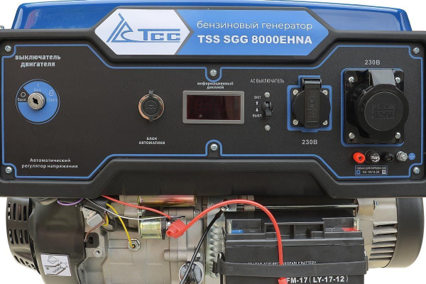 Бензиновый генератор ТСС SGG 8000EHNA в кожухе МК-1.1 мини фото