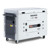 Дизельный генератор DAEWOO DDAE 11000DSE-3 Дизельный генератор DAEWOO DDAE 11000DSE-3 фото